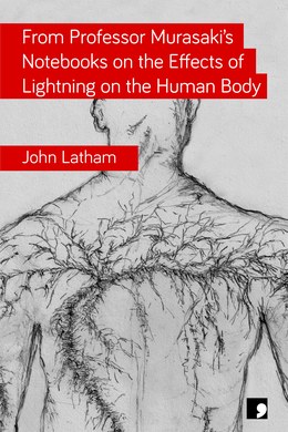 From Professor Murasaki’s Notebooks on the Effects of Lightning on the Human Body